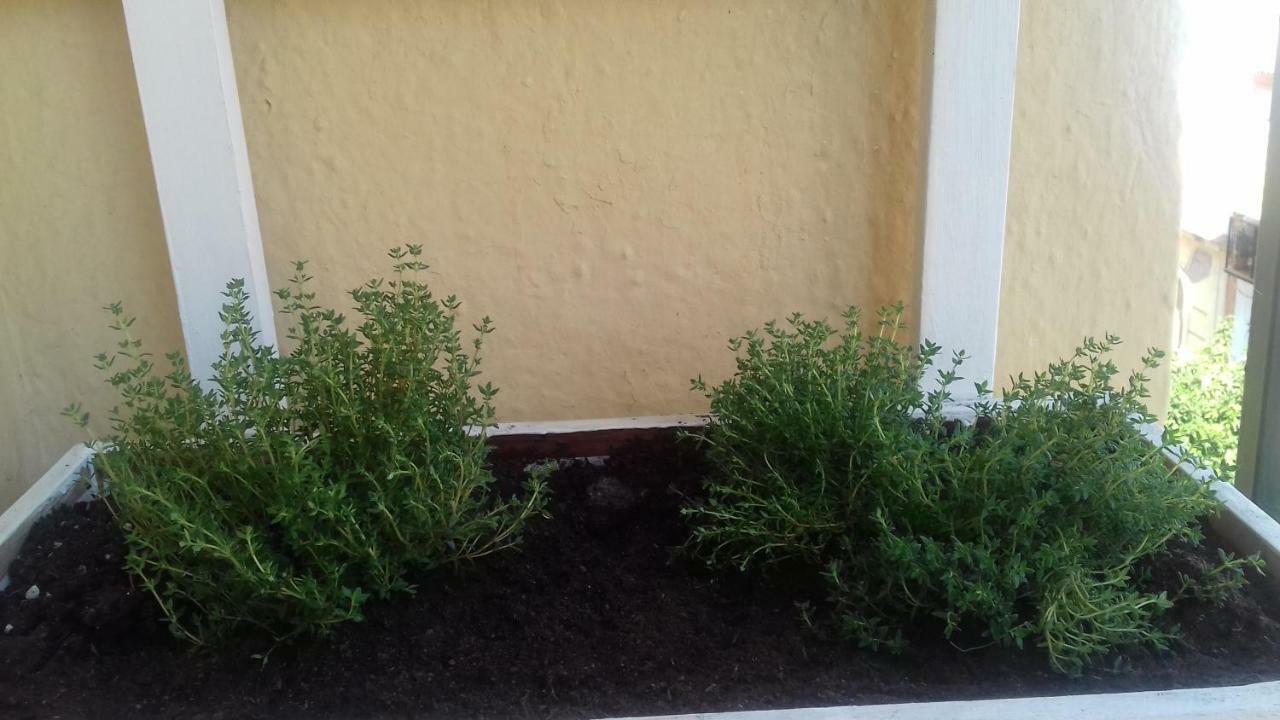 Piso En Cordoba Emili'S House Διαμέρισμα Εξωτερικό φωτογραφία